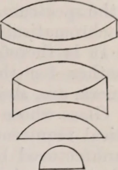 An illustration from The microscope and its revelations, 1891, leaf 344