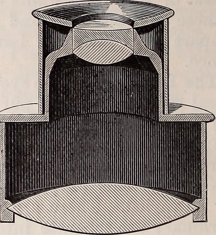 An illustration from The microscope and its revelations, 1891, leaf 353