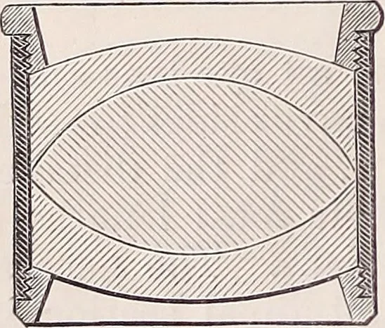 An illustration from The microscope and its revelations, 1891, leaf 353