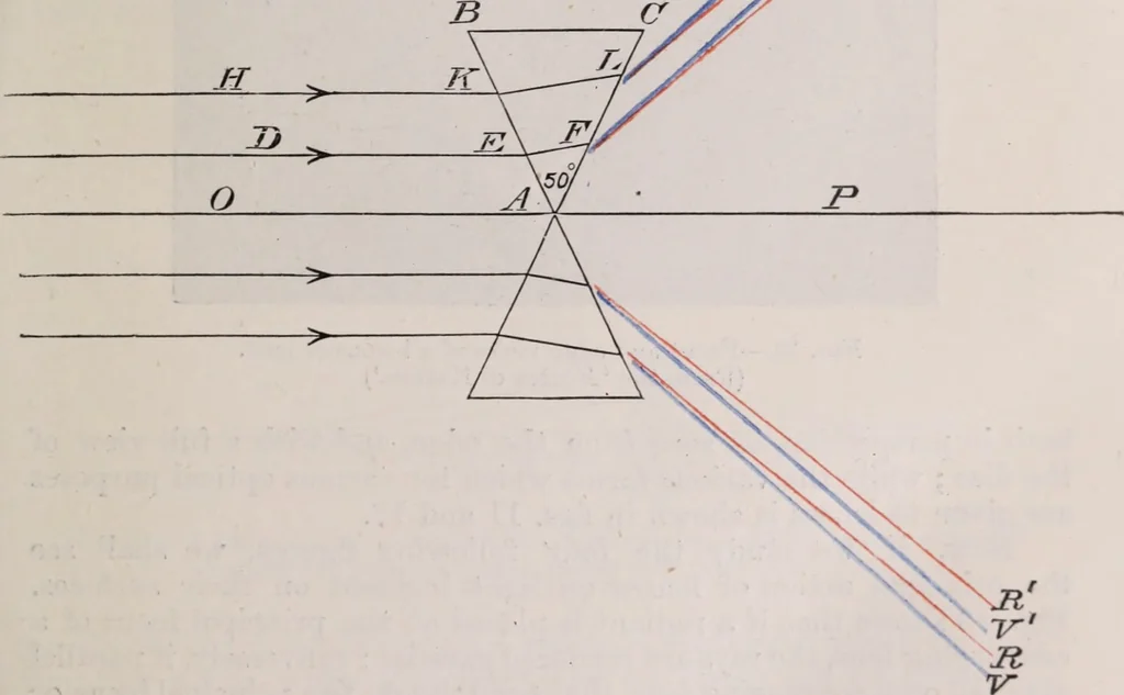 An illustration from The microscope and its revelations, 1891, leaf 36