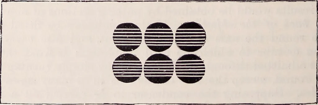 An illustration from The microscope and its revelations, 1891, leaf 361