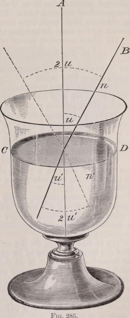 An illustration from The microscope and its revelations, 1891, leaf 366