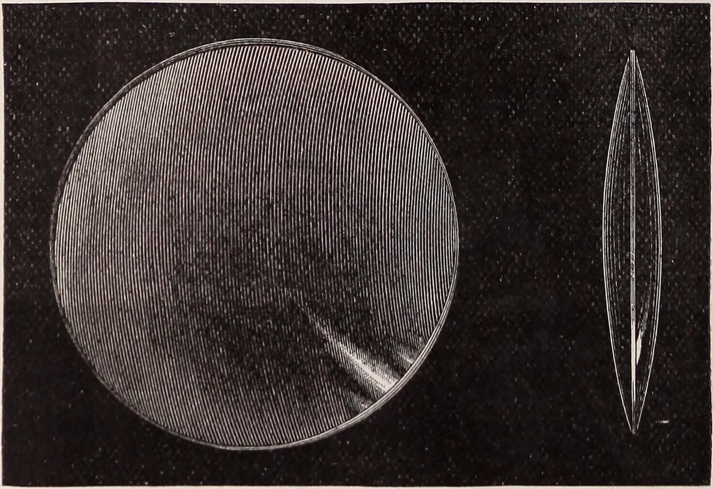An illustration from The microscope and its revelations, 1891, leaf 37