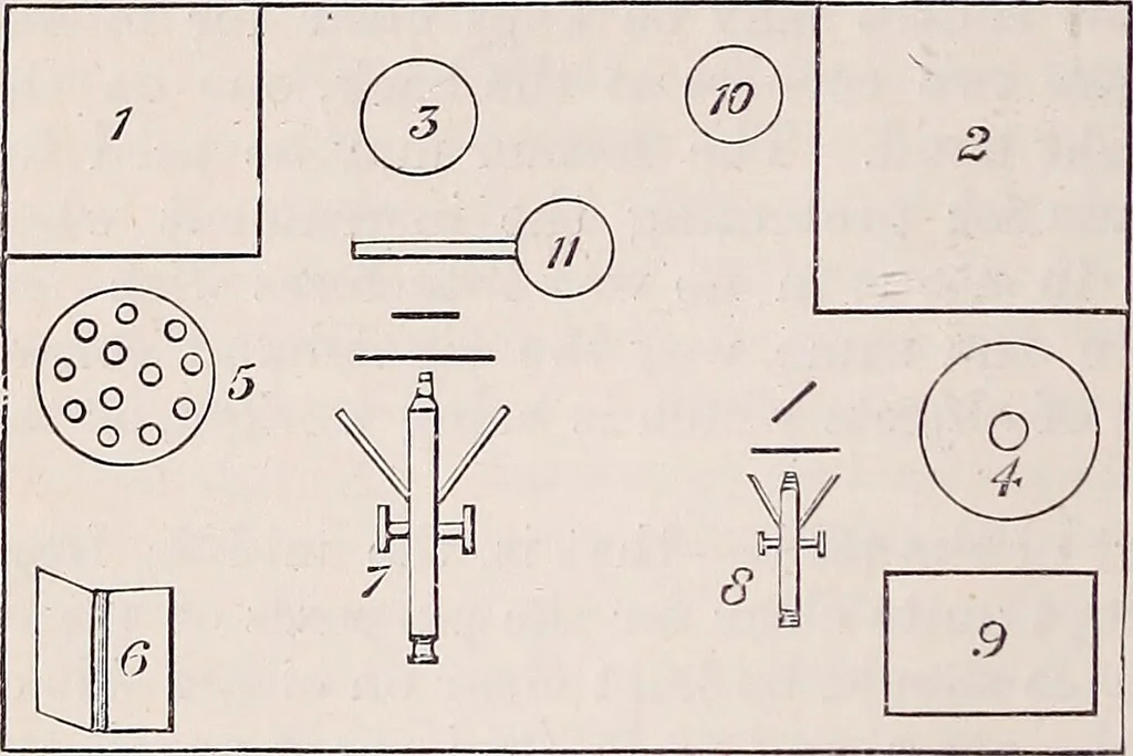 An illustration from The microscope and its revelations, 1891, leaf 373