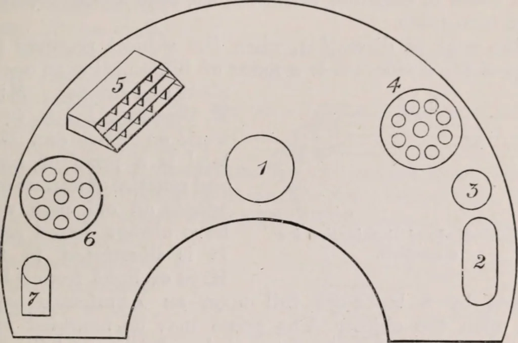 An illustration from The microscope and its revelations, 1891, leaf 374