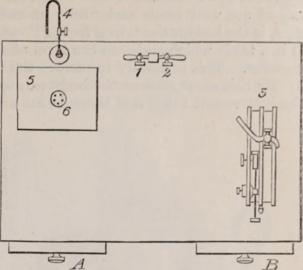 An illustration from The microscope and its revelations, 1891, leaf 376