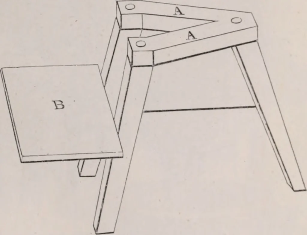 An illustration from The microscope and its revelations, 1891, leaf 376
