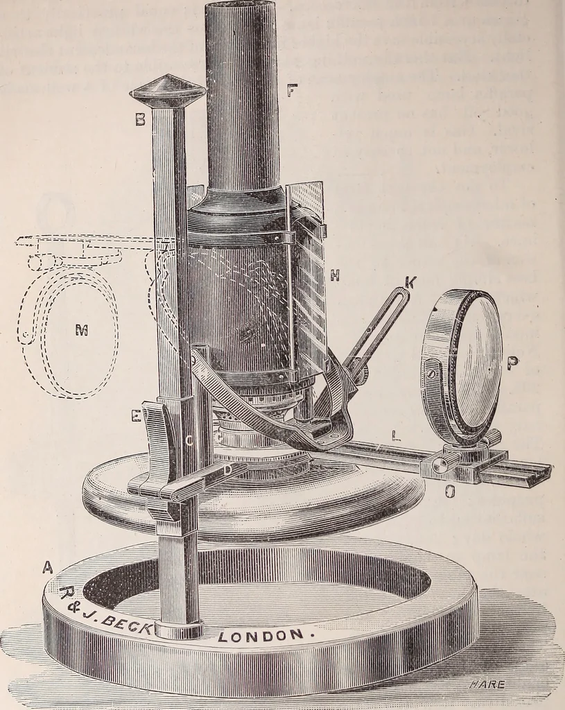 An illustration from The microscope and its revelations, 1891, leaf 379