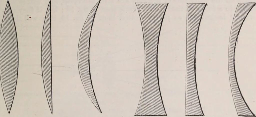 An illustration from The microscope and its revelations, 1891, leaf 38