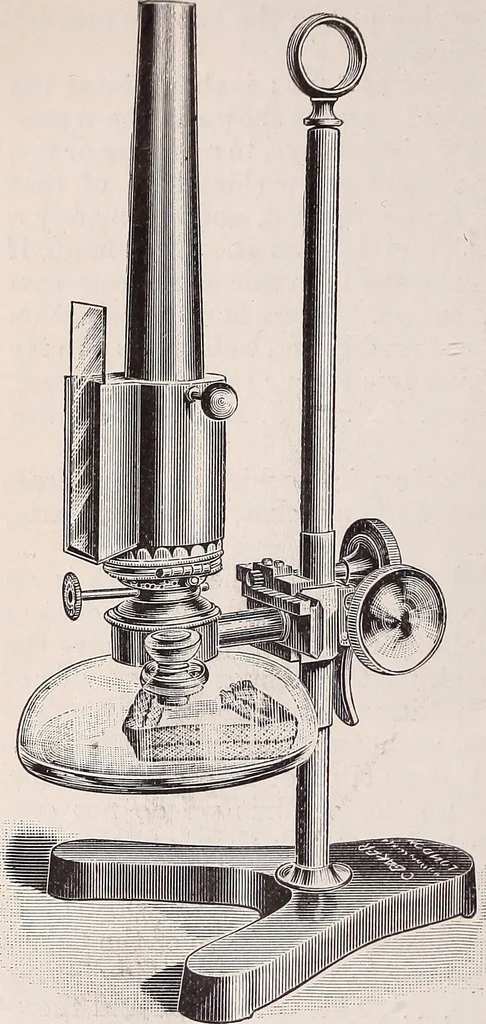 An illustration from The microscope and its revelations, 1891, leaf 381
