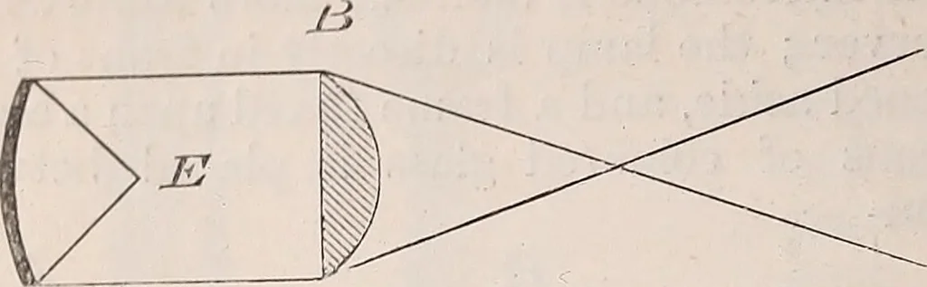 An illustration from The microscope and its revelations, 1891, leaf 383