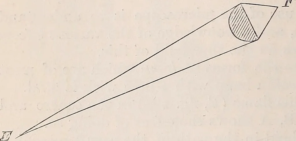An illustration from The microscope and its revelations, 1891, leaf 383