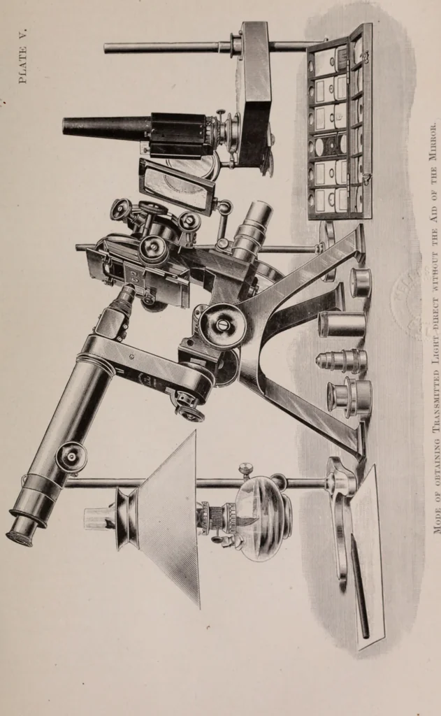 An illustration from The microscope and its revelations, 1891, leaf 384