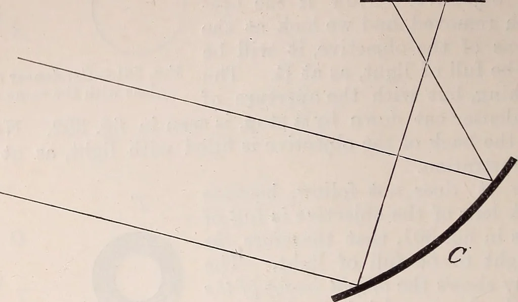 An illustration from The microscope and its revelations, 1891, leaf 387
