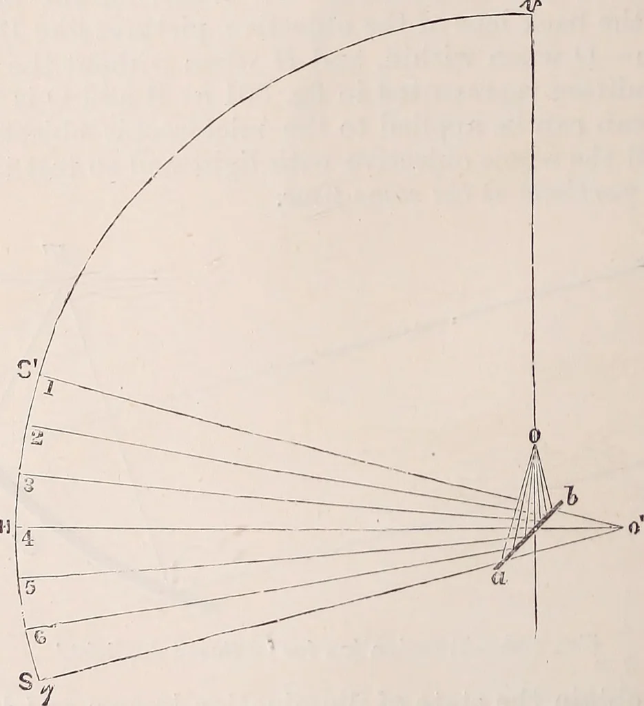 An illustration from The microscope and its revelations, 1891, leaf 387