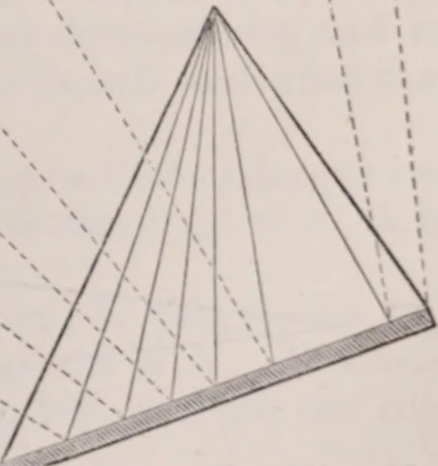 An illustration from The microscope and its revelations, 1891, leaf 388