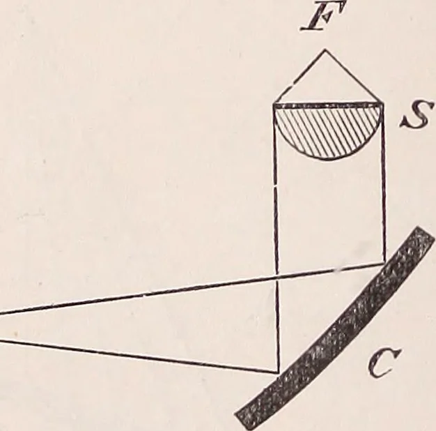An illustration from The microscope and its revelations, 1891, leaf 389