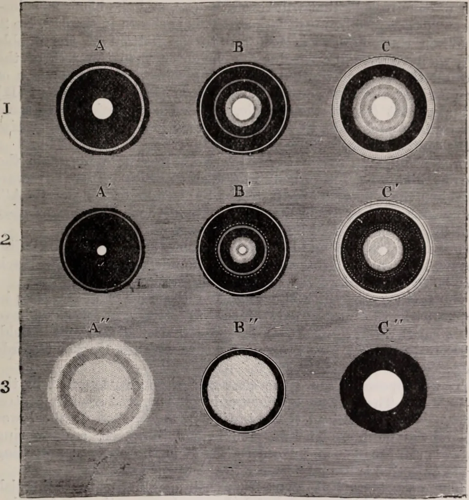 An illustration from The microscope and its revelations, 1891, leaf 404