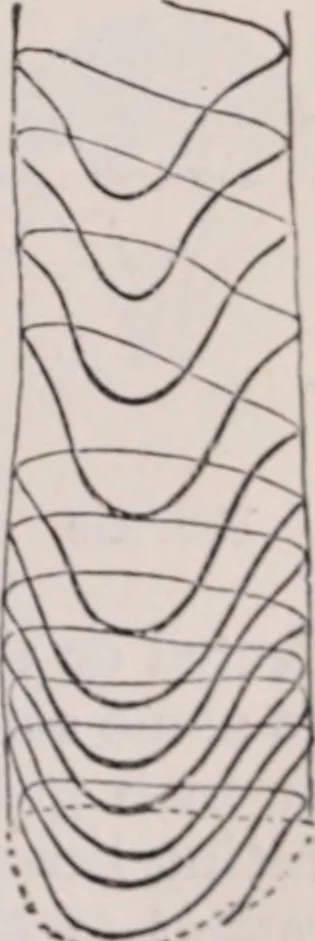 An illustration from The microscope and its revelations, 1891, leaf 408