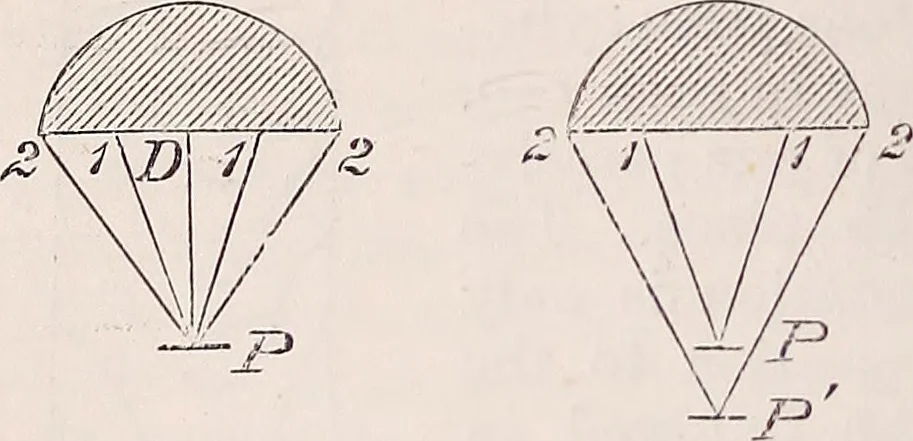 An illustration from The microscope and its revelations, 1891, leaf 409