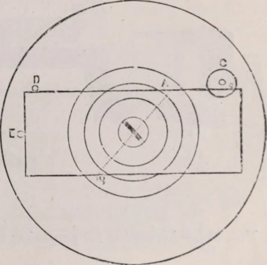 An illustration from The microscope and its revelations, 1891, leaf 424