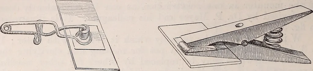 An illustration from The microscope and its revelations, 1891, leaf 427