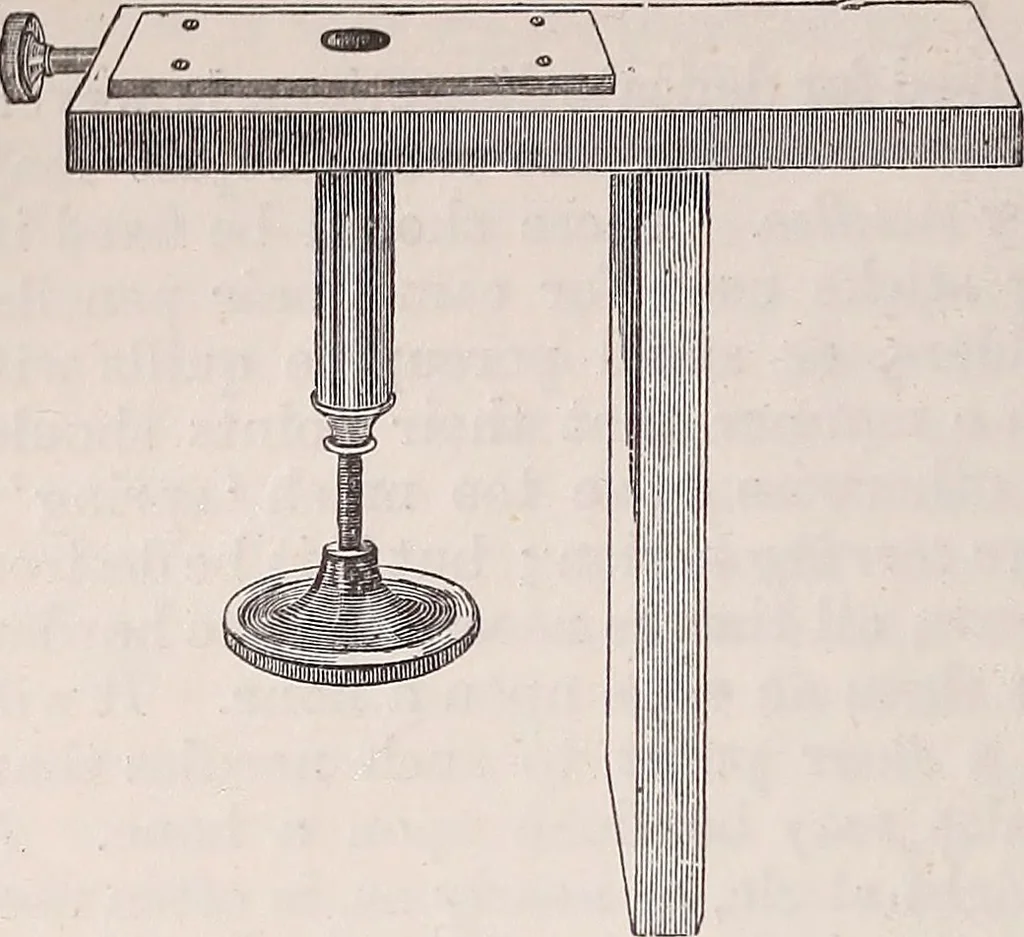 An illustration from The microscope and its revelations, 1891, leaf 431