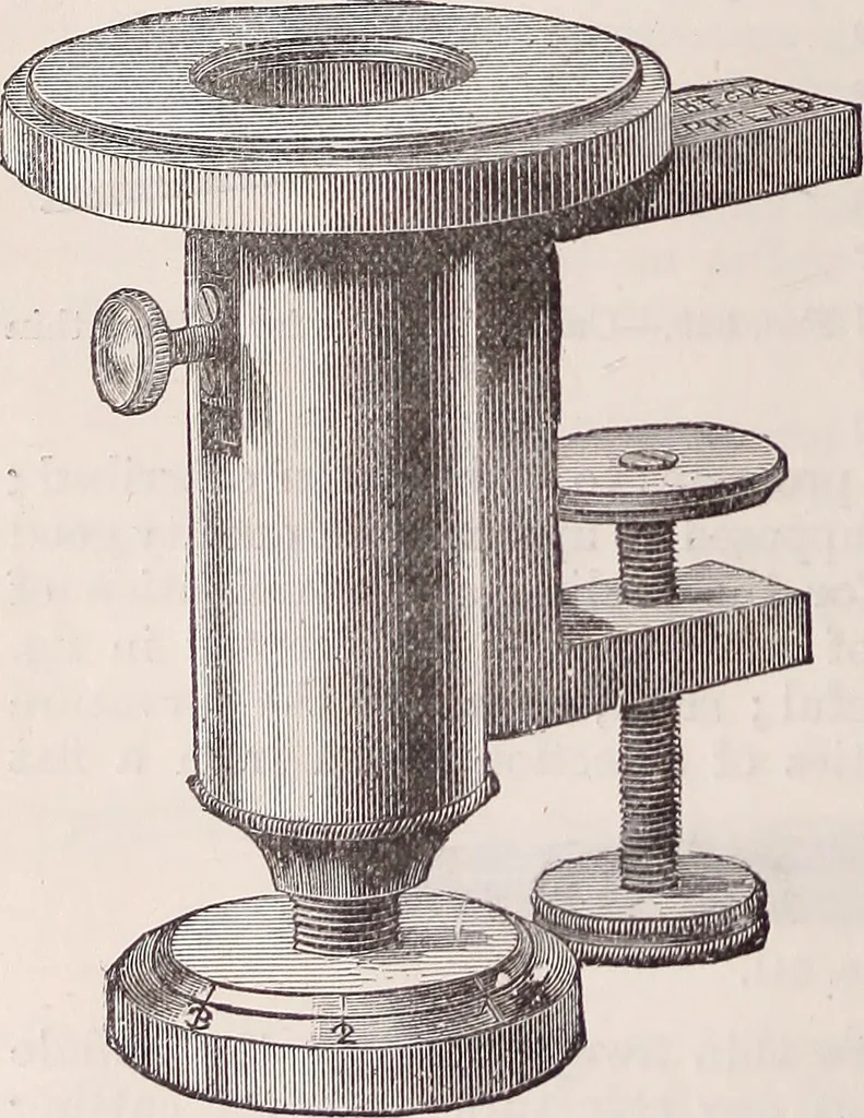 An illustration from The microscope and its revelations, 1891, leaf 431