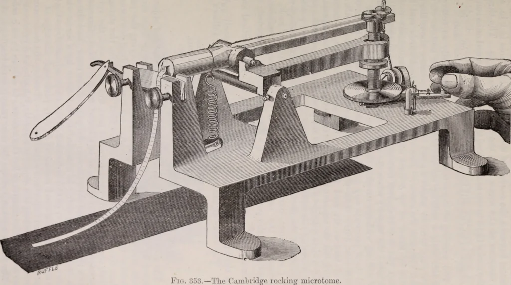 An illustration from The microscope and its revelations, 1891, leaf 442