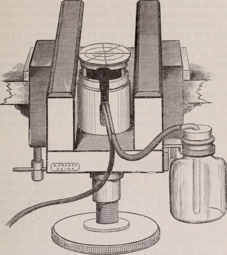 An illustration from The microscope and its revelations, 1891, leaf 446
