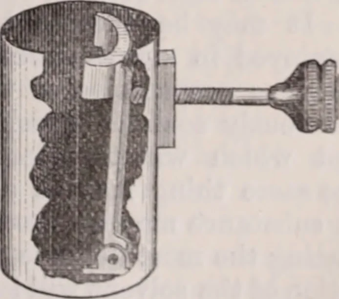 An illustration from The microscope and its revelations, 1891, leaf 446