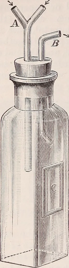 An illustration from The microscope and its revelations, 1891, leaf 449