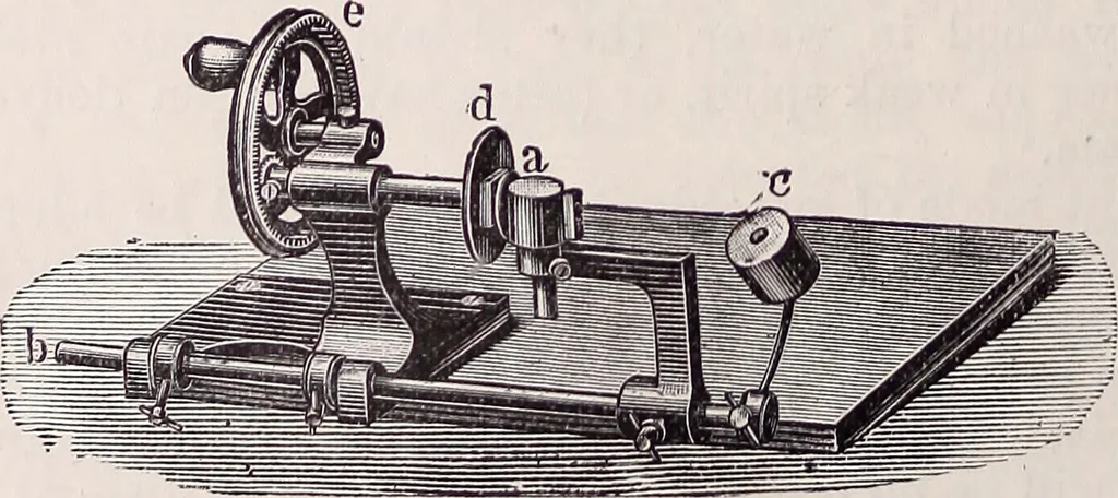 An illustration from The microscope and its revelations, 1891, leaf 457