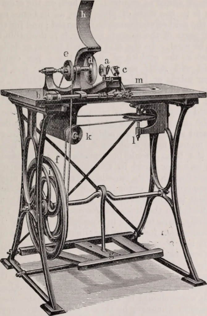 An illustration from The microscope and its revelations, 1891, leaf 458