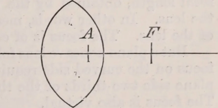 An illustration from The microscope and its revelations, 1891, leaf 46