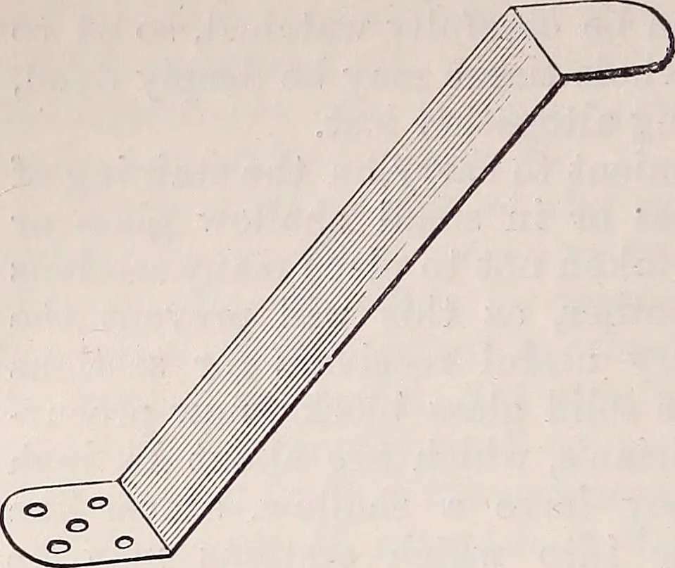 An illustration from The microscope and its revelations, 1891, leaf 465
