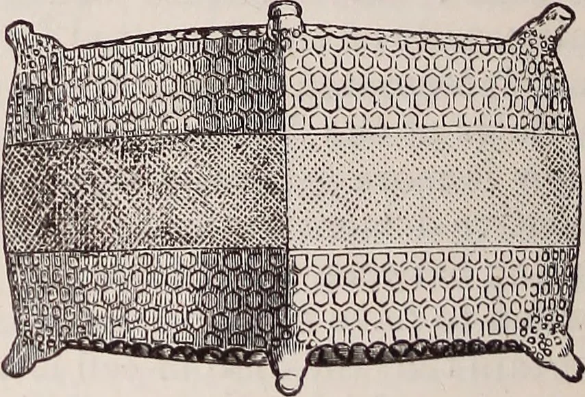 An illustration from The microscope and its revelations, 1891, leaf 561