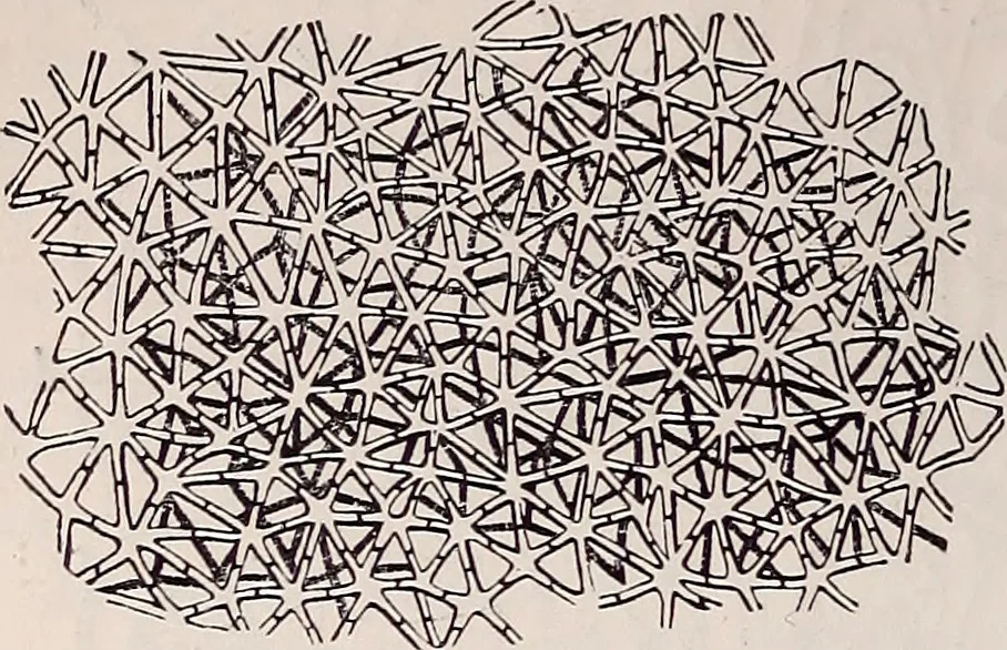 An illustration from The microscope and its revelations, 1891, leaf 659