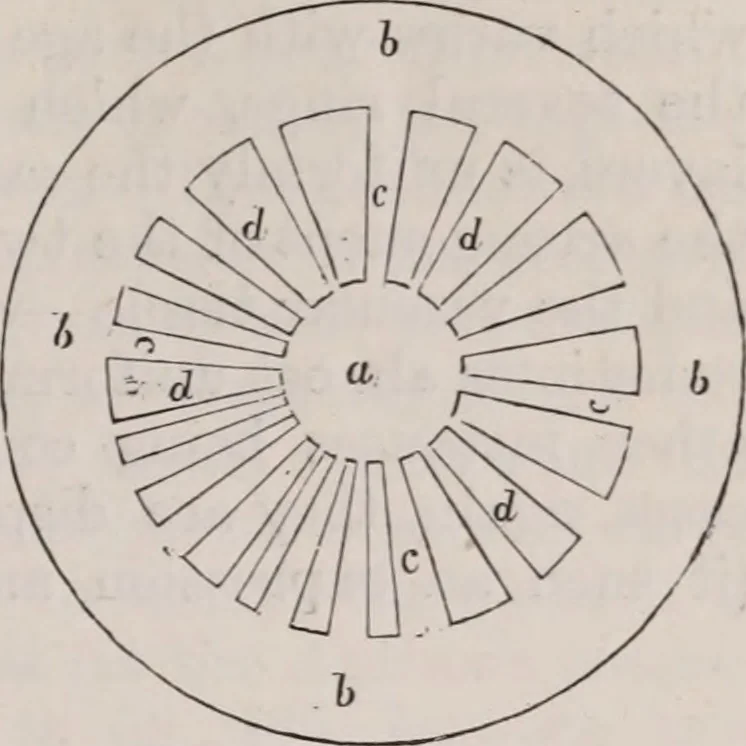 An illustration from The microscope and its revelations, 1891, leaf 674
