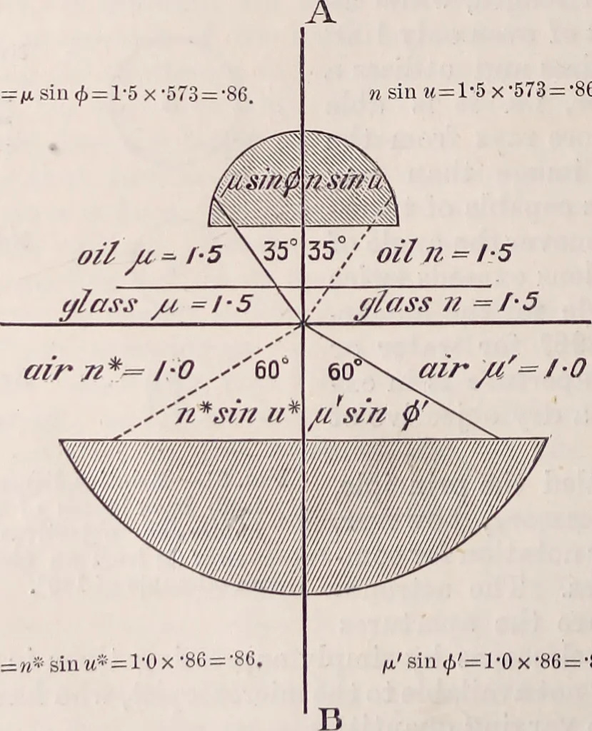 An illustration from The microscope and its revelations, 1891, leaf 73