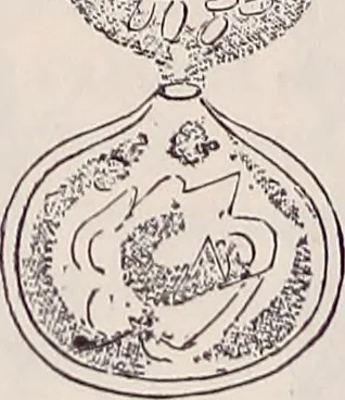 An illustration from The microscope and its revelations, 1891, leaf 757