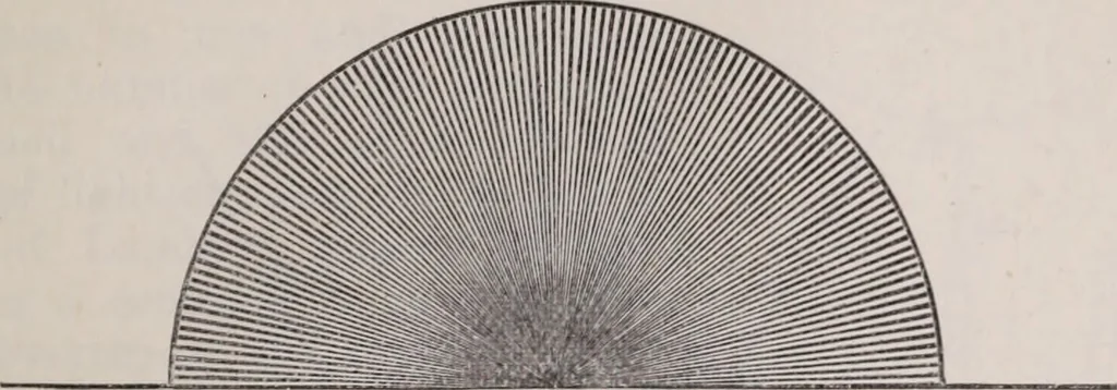 An illustration from The microscope and its revelations, 1891, leaf 76