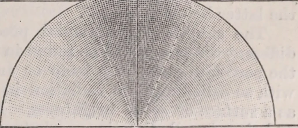 An illustration from The microscope and its revelations, 1891, leaf 76