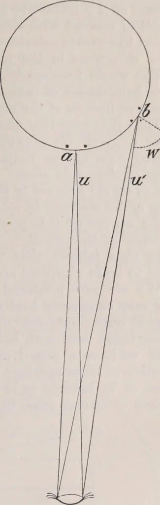 An illustration from The microscope and its revelations, 1891, leaf 78