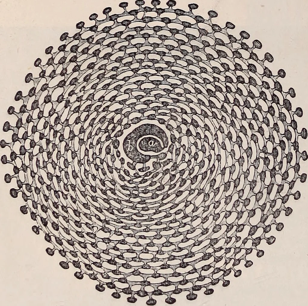 An illustration from The microscope and its revelations, 1891, leaf 789
