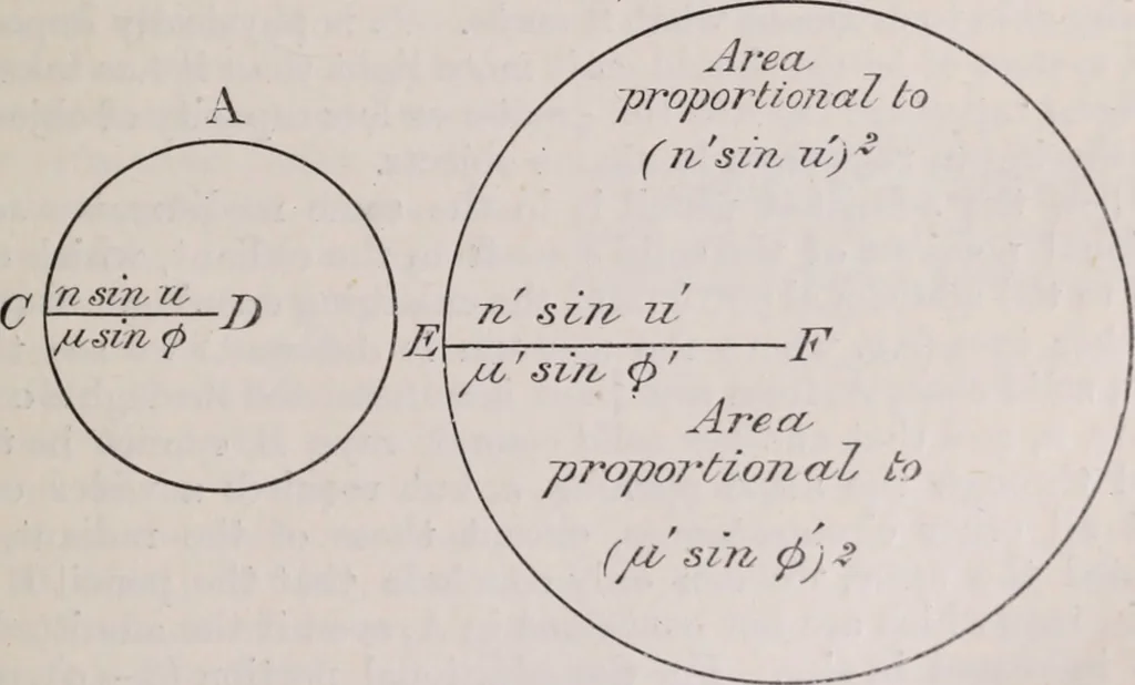 An illustration from The microscope and its revelations, 1891, leaf 80