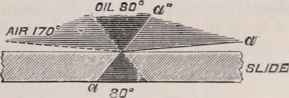 An illustration from The microscope and its revelations, 1891, leaf 82