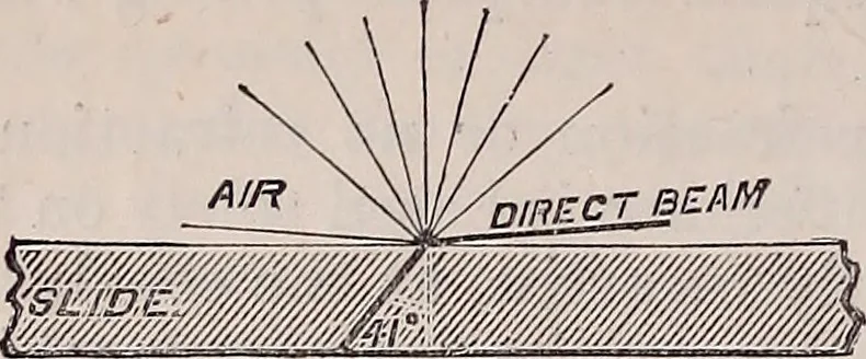 An illustration from The microscope and its revelations, 1891, leaf 83