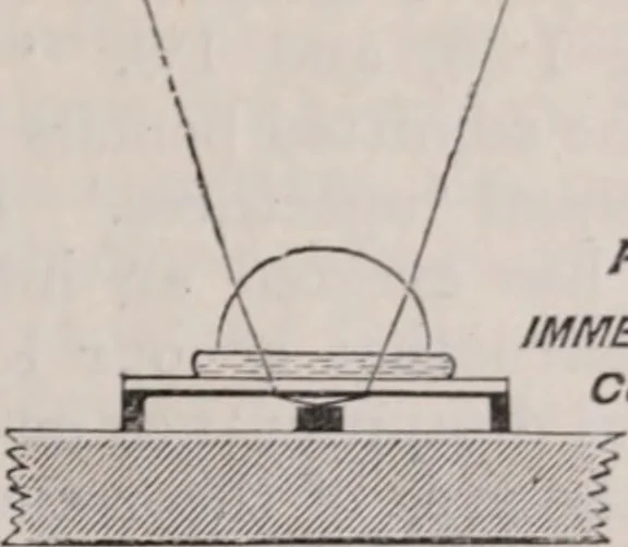 An illustration from The microscope and its revelations, 1891, leaf 84