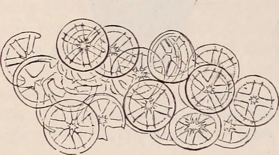 An illustration from The microscope and its revelations, 1891, leaf 877